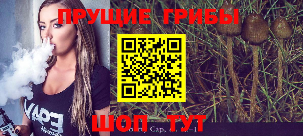 Псилоцибиновые грибы мицелий Ливны