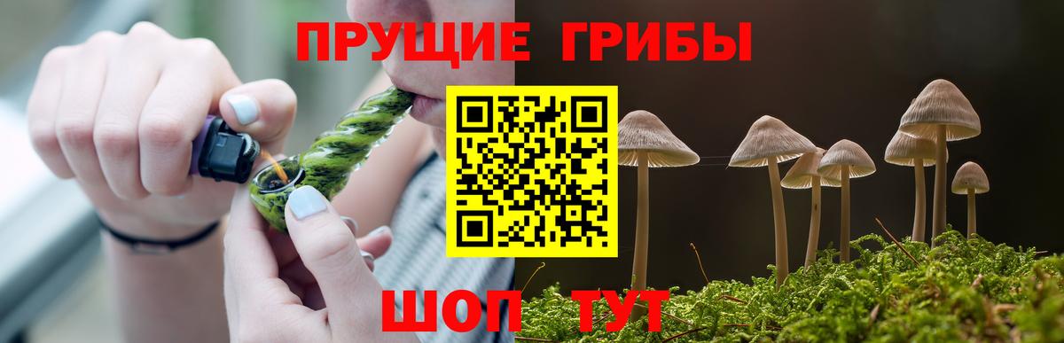 Псилоцибиновые грибы мухоморы  Вход с VPN  Ливны 